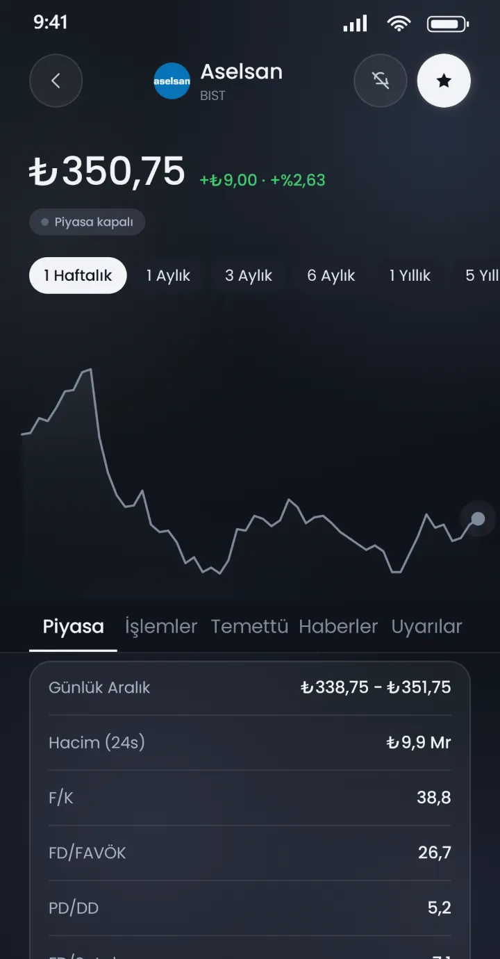 Stoku varlık detayı: fiyat grafiği ve temel göstergeler