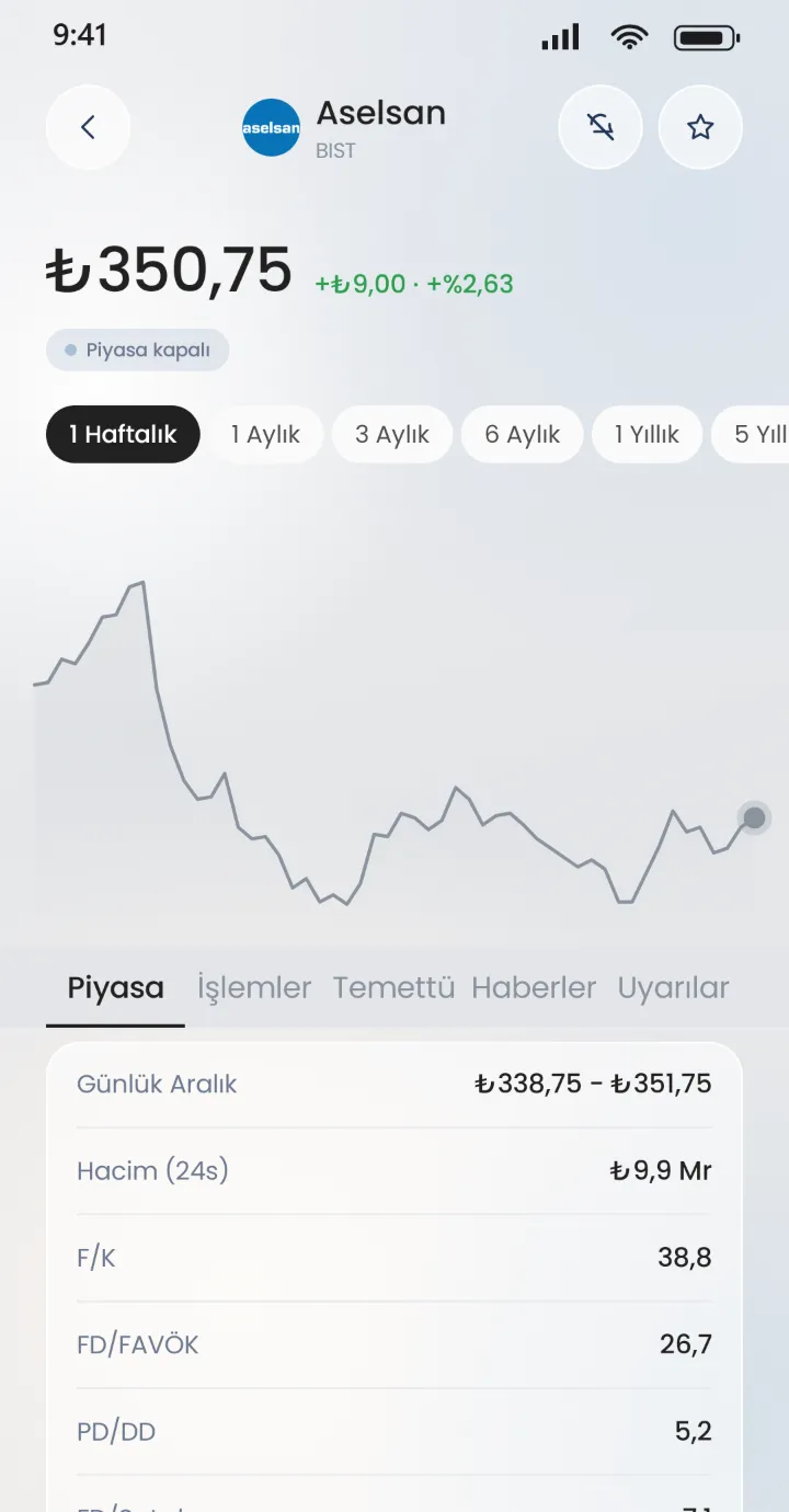 Stoku varlık detayı: fiyat grafiği ve temel göstergeler